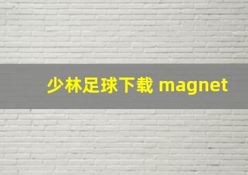 少林足球下载 magnet